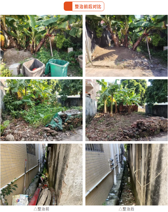 全力守护师生健康安全！中山市港口镇督导开展校园疫情防控工作3.png