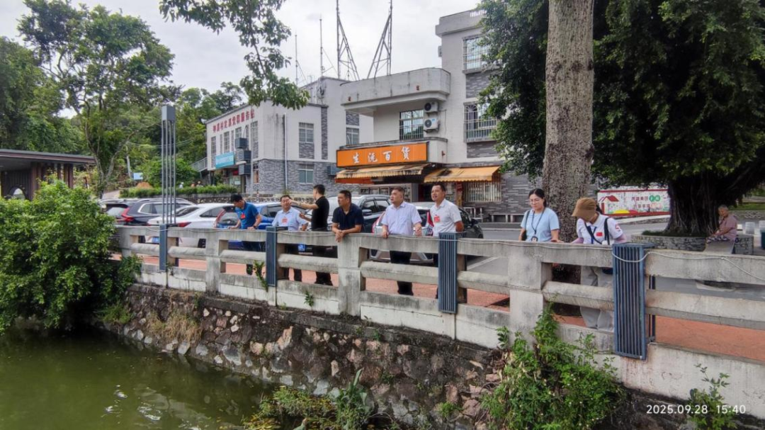 神湾镇：市人大常委会执法检查组开展蚊媒预防控制执法检查