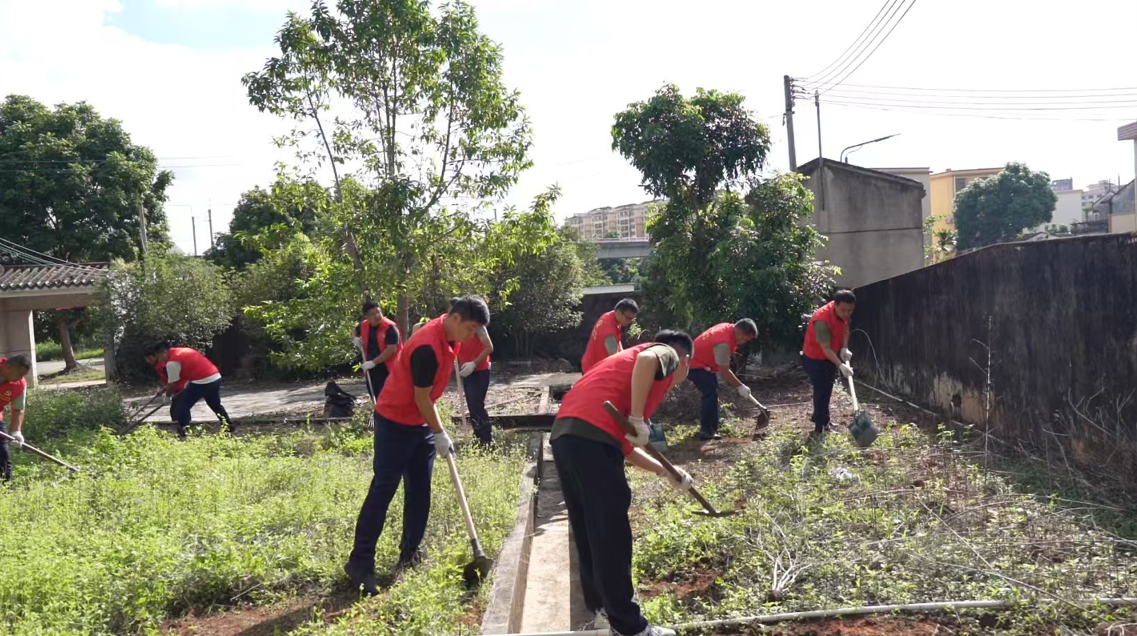 “两热”防控丨一条心，齐动手！中山翠亨新区（南朗街道）坚决消除“两热”潜在风险源