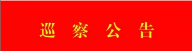 巡  察  公  告