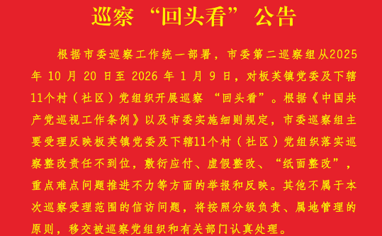 巡察“回头看”公告