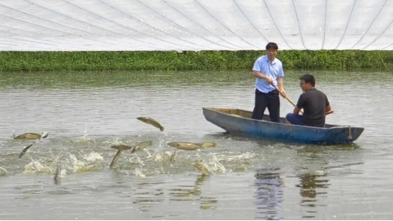 零的突破！三角生鱼产业摘得范蠡科技奖