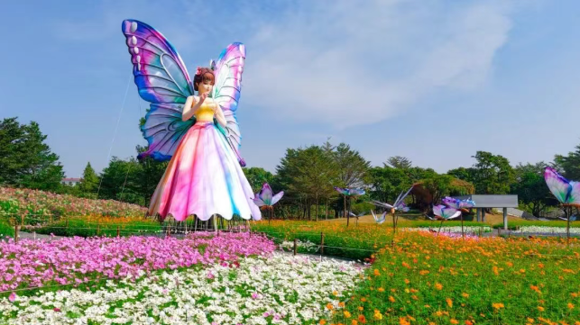 2025年小榄菊花会全力“扮靓”中