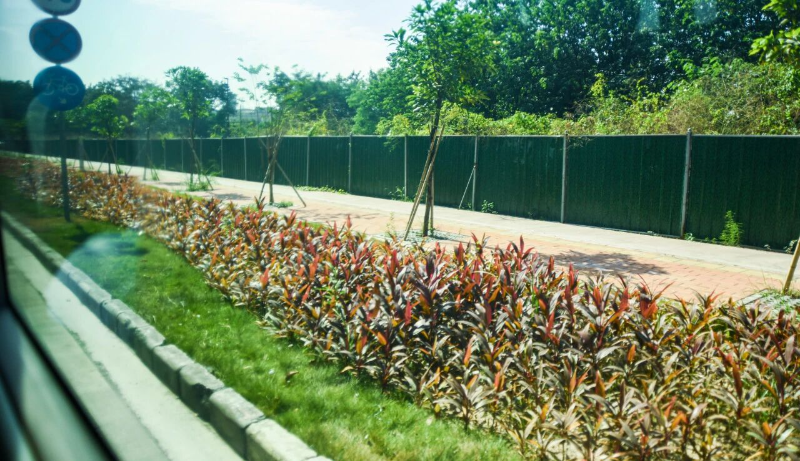 镇领导一线督导“百千万工程”，聚焦古神公路及十水线风貌提升