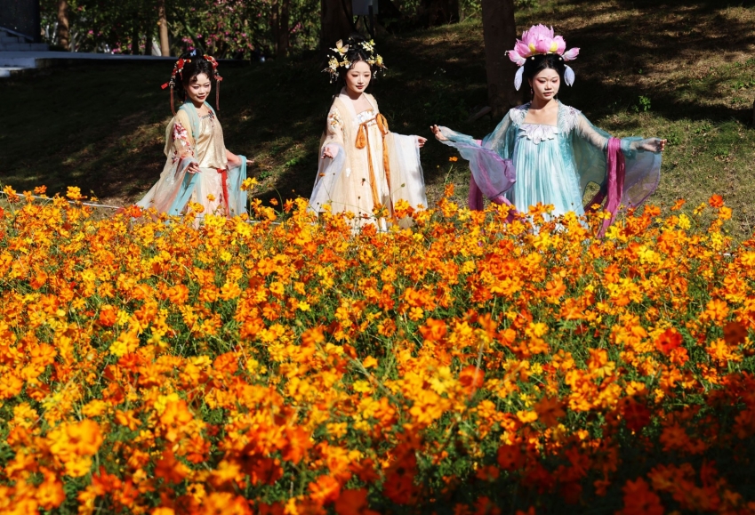 [Video] 2025 Xiaolan...