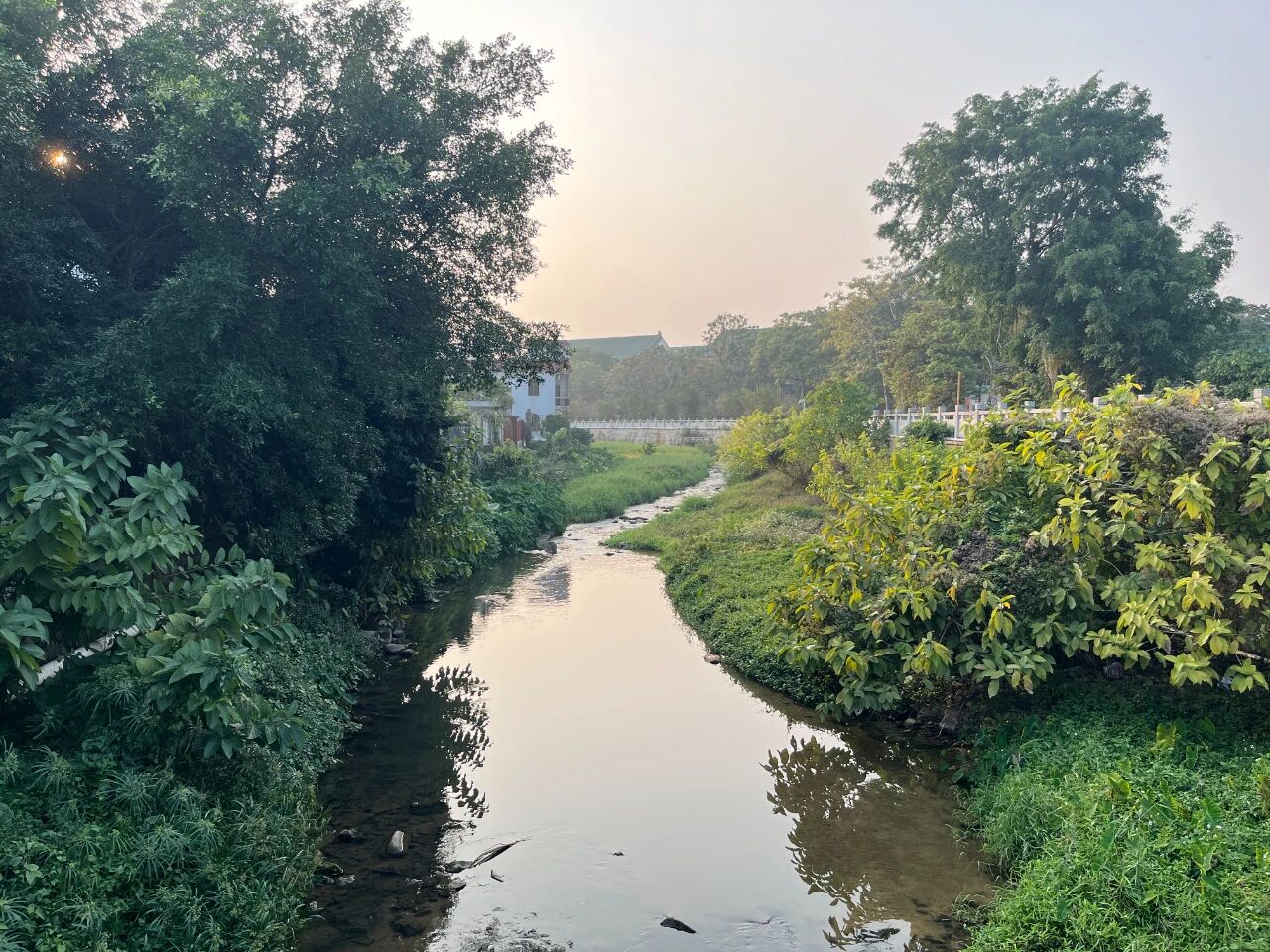 聚焦“百千万工程”丨助力美丽河湖建设，南朗街道全面推进兰溪河清淤工程