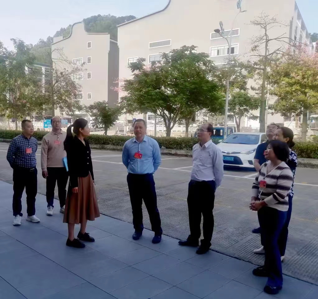 神湾镇人大代表深入一线视察 监督助推重点工作落地见效