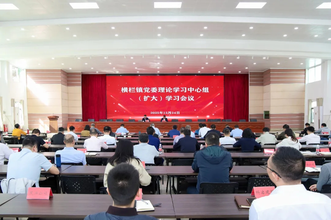 横栏镇召开党委理论学习中心组（扩大）学习会：深刻领悟习近平经济思想 不断提升抓经济工作能力水平