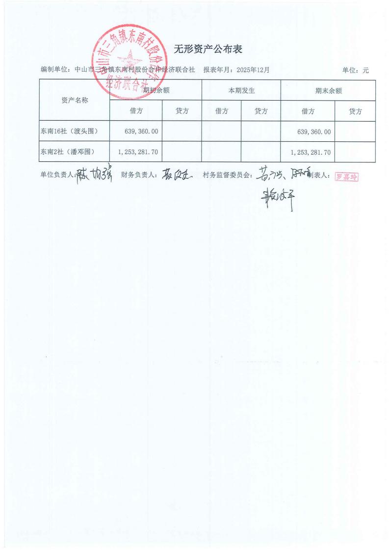 东南村2025年财务公开年报_08.jpg
