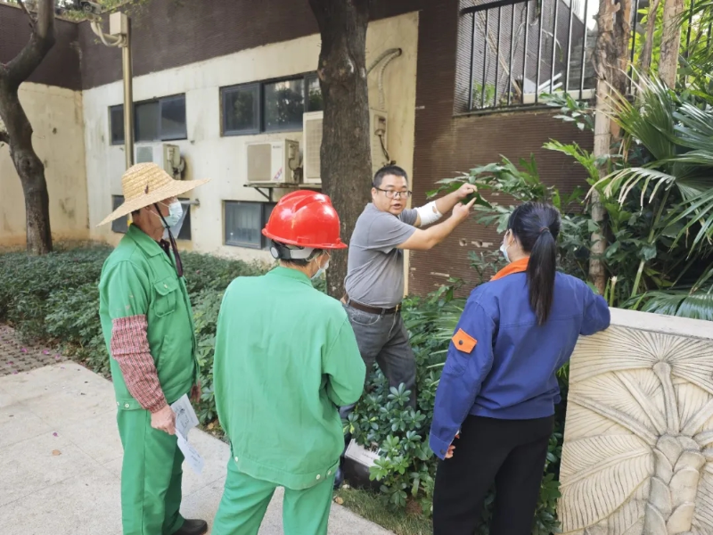 板芙镇组织蚊媒消杀专项培训，精准打击越冬蚊