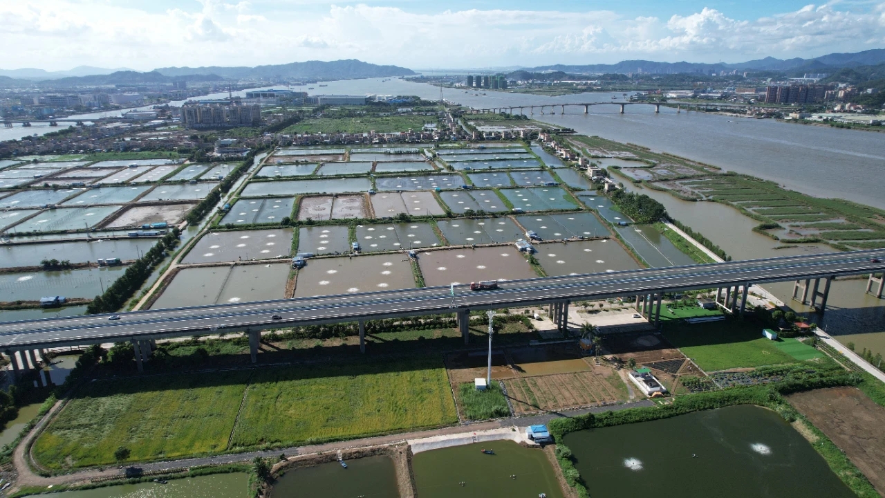 神湾镇现场督导河湖“四乱”整治 扛牢责任守护水域安澜