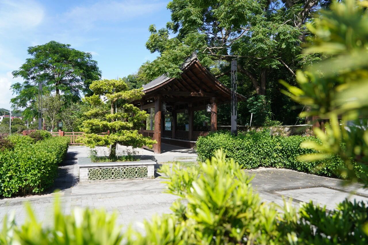 “百千万工程”三年蝶变②|持续刷新“颜值”！翠亨新区（南朗街道）书写和美乡村新篇章