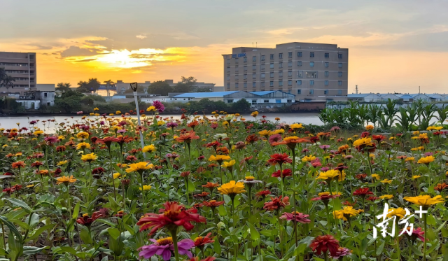 居民参与治理后的“江景小园”。