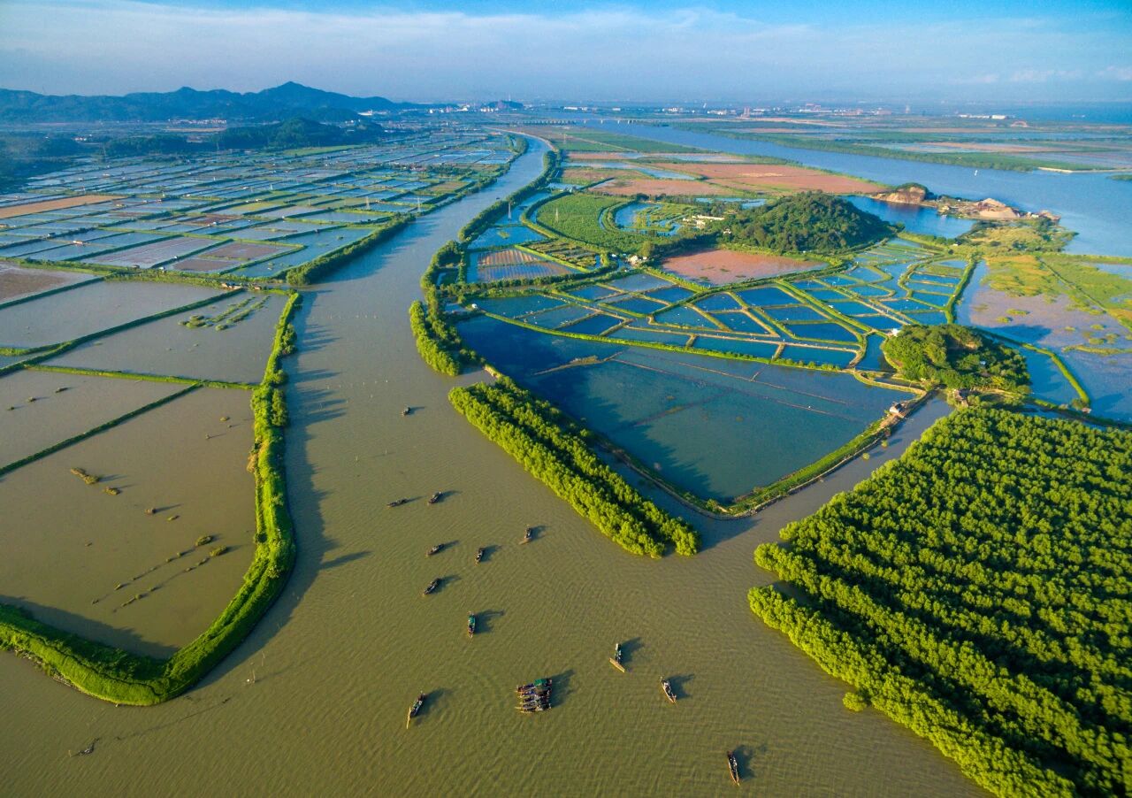 “百千万工程”三年蝶变③|山海相映绿意浓，绿美南朗入画来