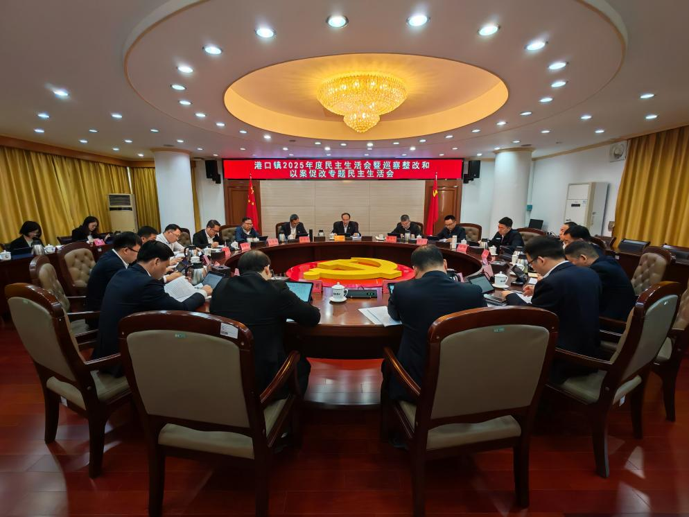 港口镇民主生活会.png