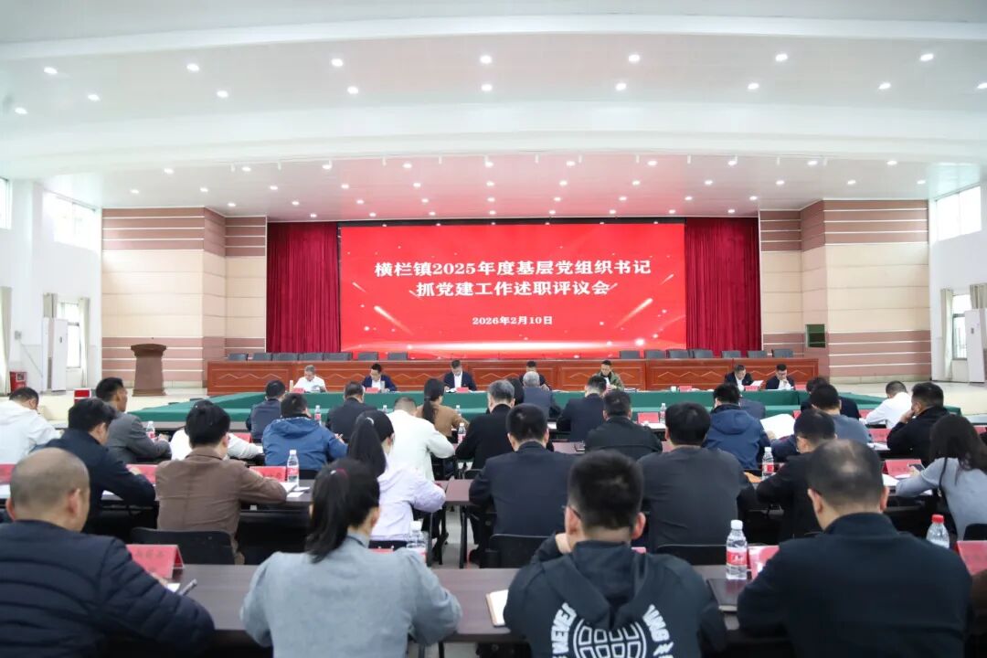 横栏镇召开2025年度基层党组织书记抓党建工作述职评议会