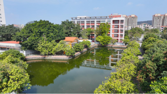 三角镇社会福利服务中心重磅招商，共筑湾区康养标杆