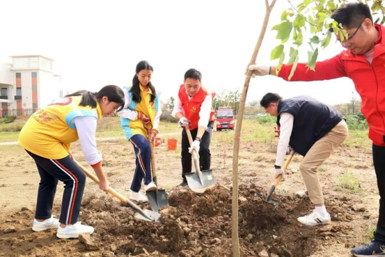 三角镇开展2026年乡村绿化主题植树活动