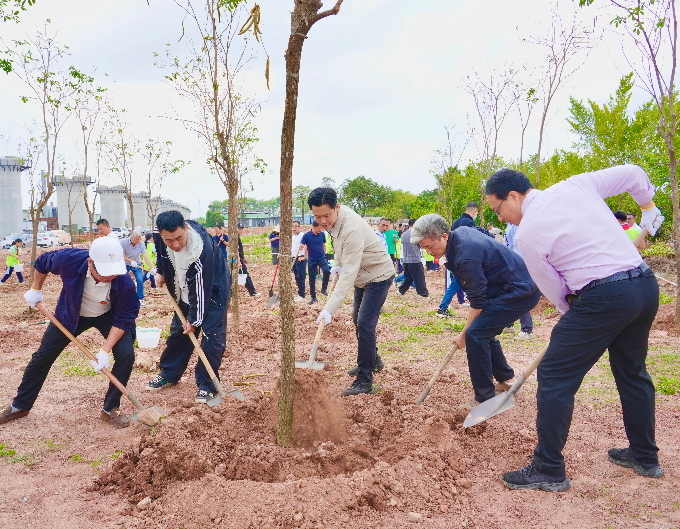 植新绿 开新局 谱新篇——沙溪镇联动推进绿美广东生态建设义务植树活动