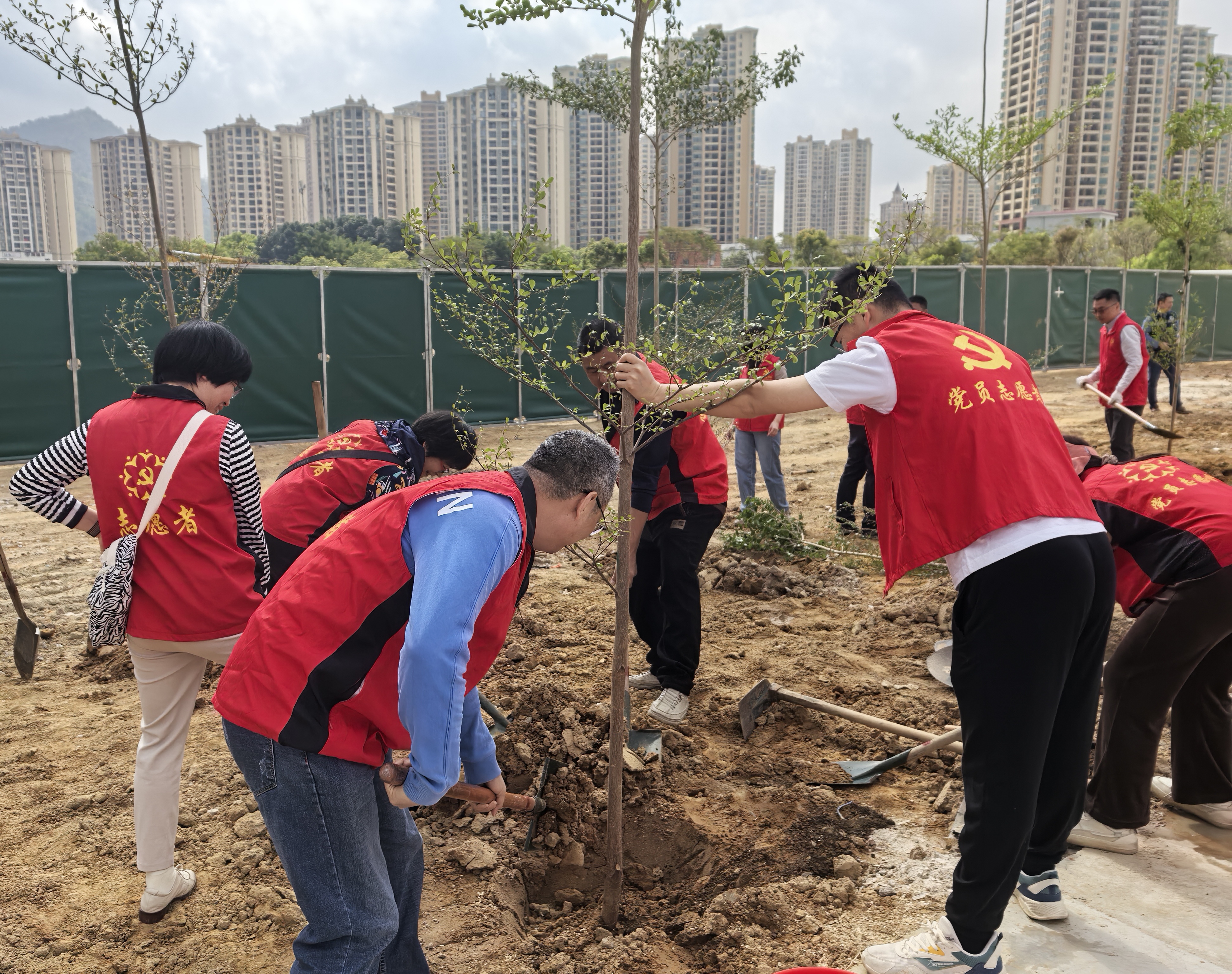 3.17植树.jpg