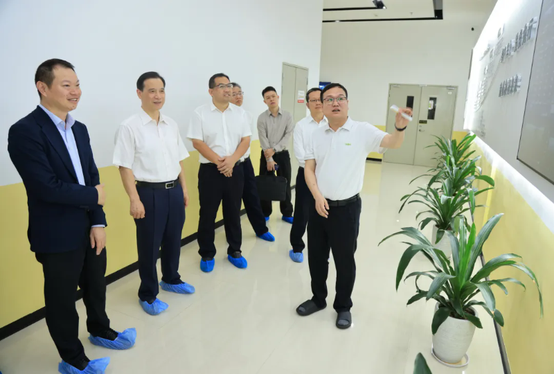 市人大常委会赴板芙镇走访调研 为企业高质量发展鼓劲赋能