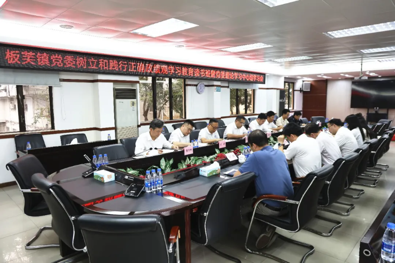 板芙镇党委树立和践行正确政绩观学习教育读书班暨党委理论学习中心组学习会举办