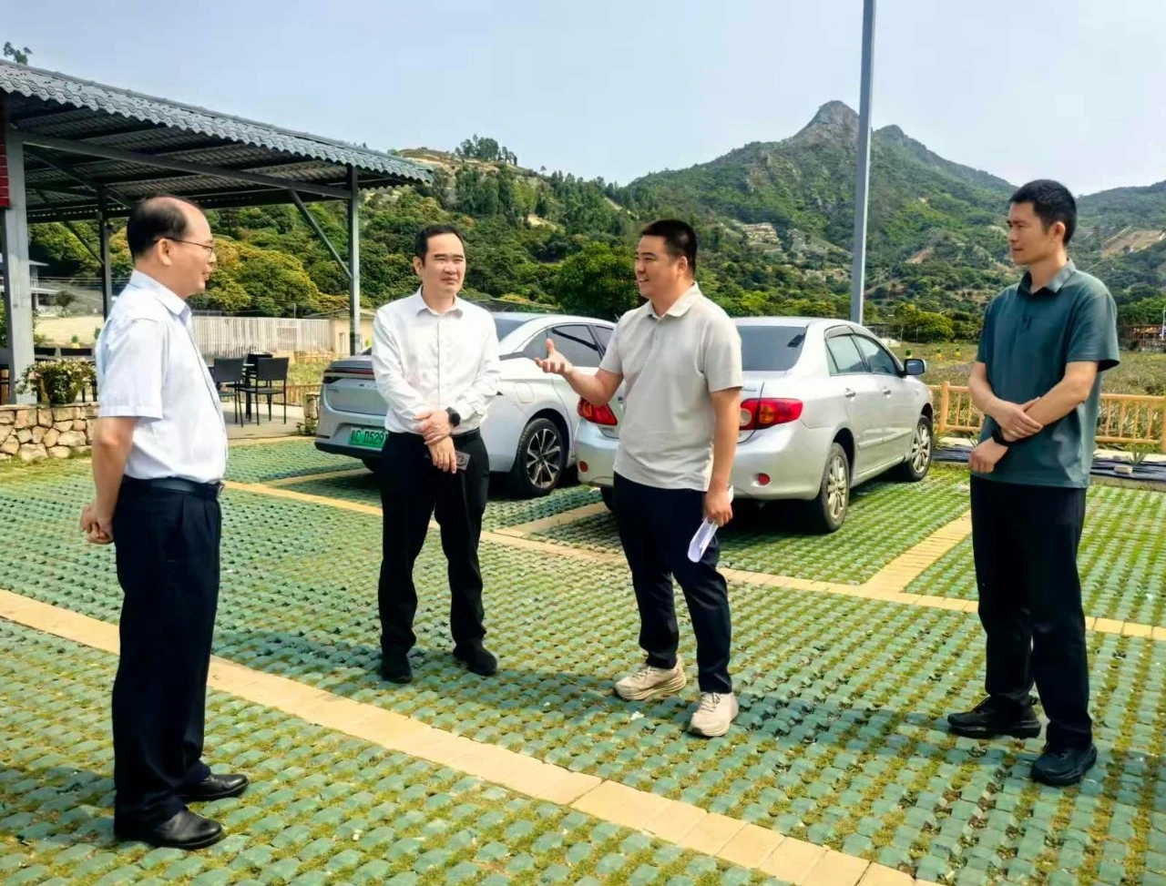 凝心聚力再攻坚｜镇领导深入神溪村调研“百千万工程”典型村建设