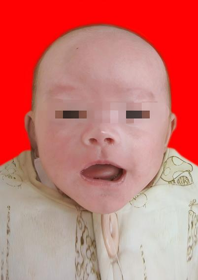 图片1.png