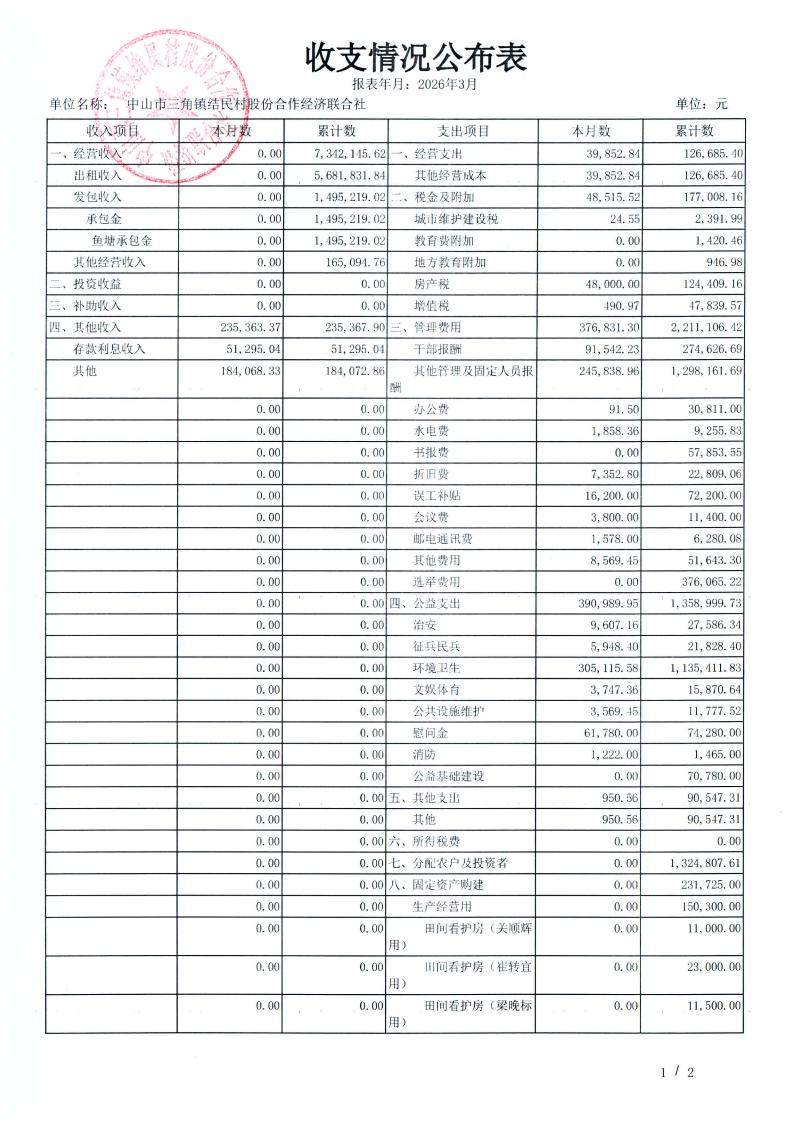 结民村2026年3月财务公开_13.jpg