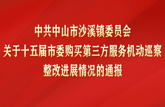 中共中山市沙溪镇委员会关于十五届市委购买第三方服务机动巡察整改进展情况的通报
