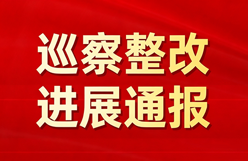 中共中山市横栏镇委员会关于十五届市委购买第三方服务机动巡察整改进展情况的通报
