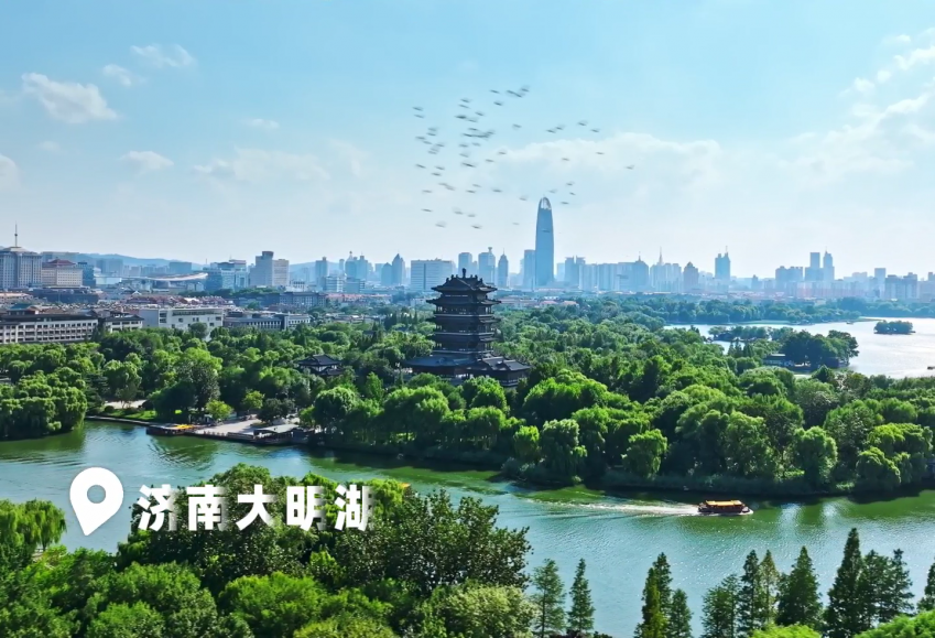 Daming Lake in Jinan, Shandong. Photo provided to ZSNews.cn