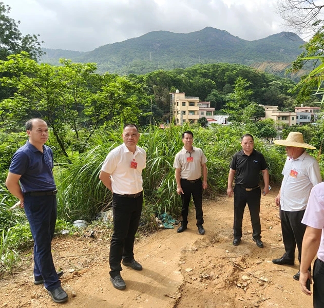 一线“把脉”解民忧！神湾镇人大以实干助推“百千万工程”提质增效