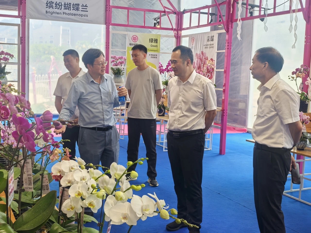 聚力花卉产业 提速示范园落地——镇主要领导率队调研缤纷园艺有限公司
