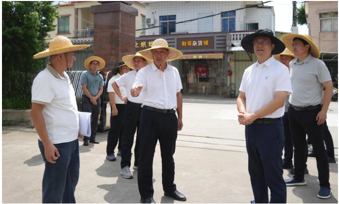 规划先行抓落实！市“百千万工程”下沉指导组到港口镇调研.png