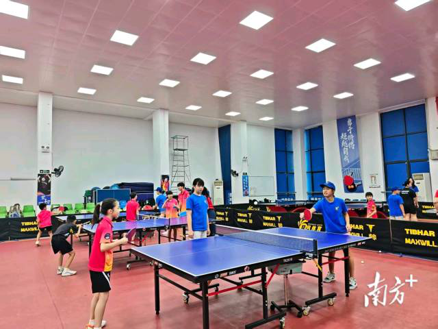 Chinese-American teens learn to play table tennis.