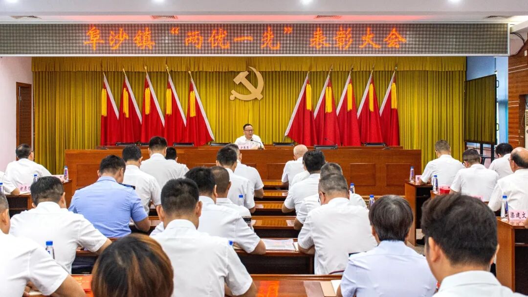 阜沙镇召开“两优一先”表彰大会