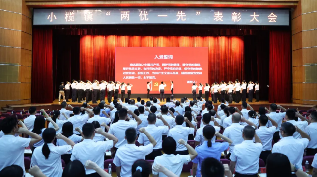 小榄镇召开“两优一先”表彰大会