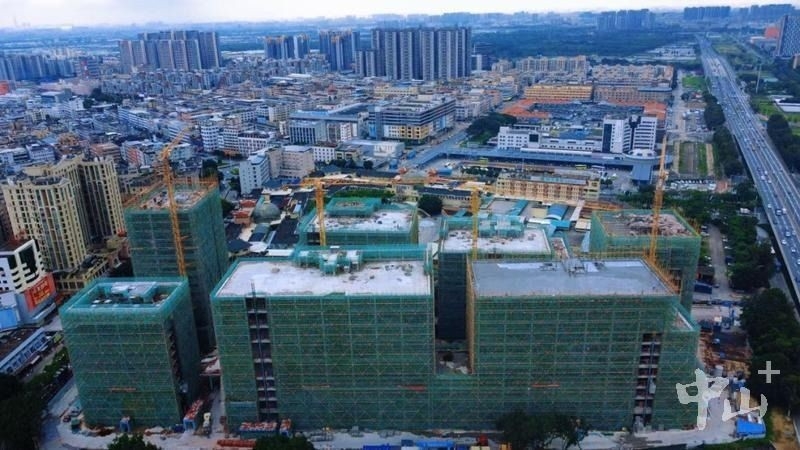 0811-1.jpg