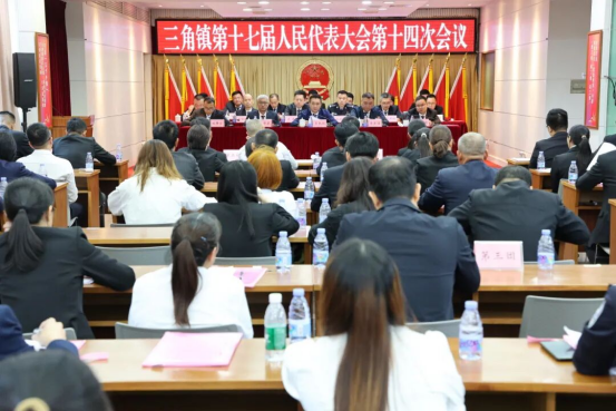 三角镇召开第十七届人民代表大会第十四次会议
