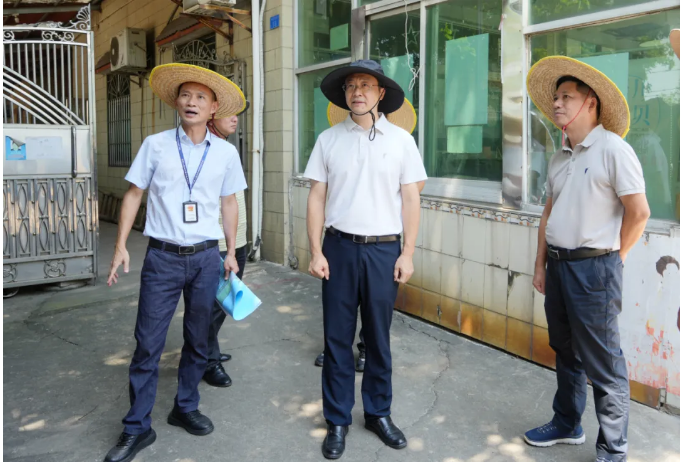 下决心攻坚提质！港口镇主要领导调研三角快线沿线风貌提升工作1.png
