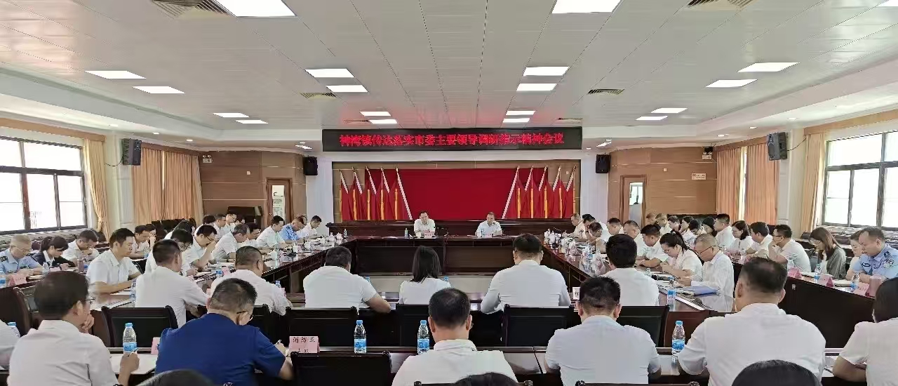 提速争先，真抓实干！神湾镇传达落实市委主要领导调研指示精神