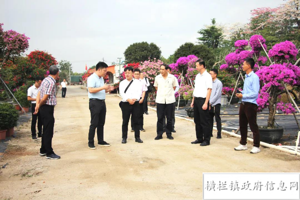 市政协与南方日报领导一行到我镇调研花木产业