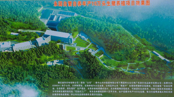 图片20.png