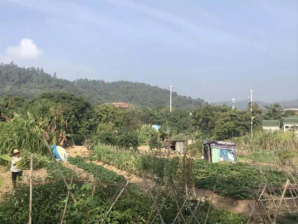 微信图片_20200106083906.jpg