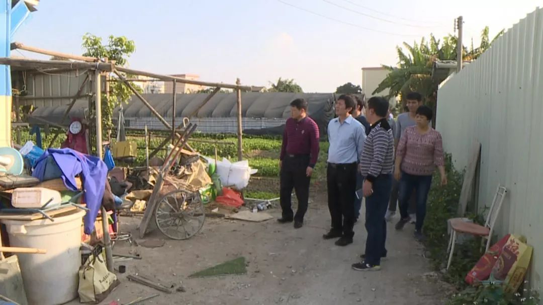 2020-1-8港口镇党委书记陈有兴带队到石特社区督导美丽田园建设工作001.jpg