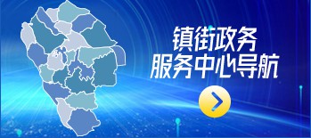 镇街政务服务中心导航 镇街政务服务中心导航