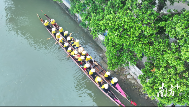 龙舟游弋于寿围涌等河涌。