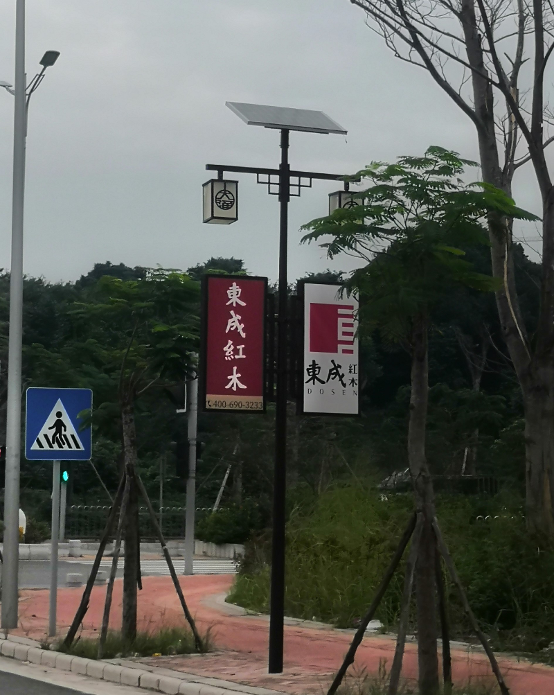 凤凰路大涌段两旁太阳能广告灯牌公开竞价招租的公告