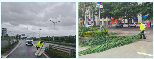 全员行动！港口镇织密台风“韦帕”防御网，全力守护群众生命财产安全4.png